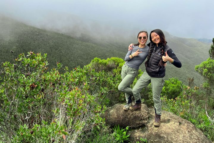 Kilimanjaro: 8-day Lemosho Route