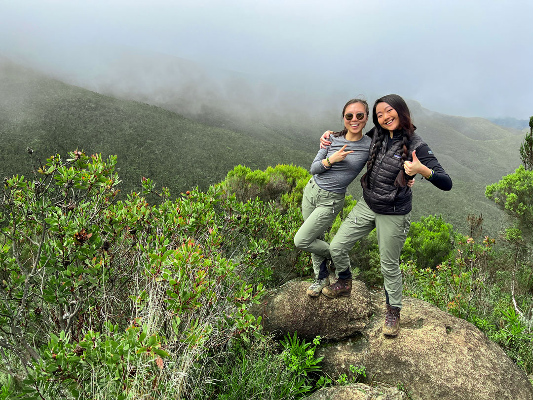 Kilimanjaro: 8-day Lemosho Route